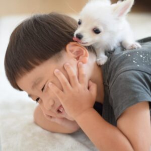 小さいお子様やペットがいる